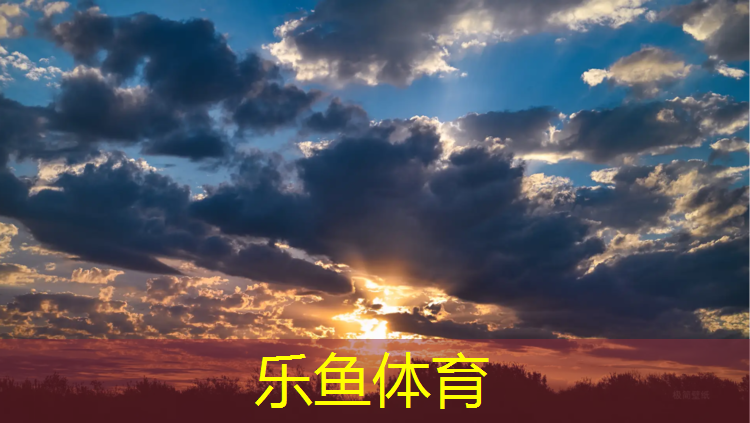 胶州透气塑胶跑道施工