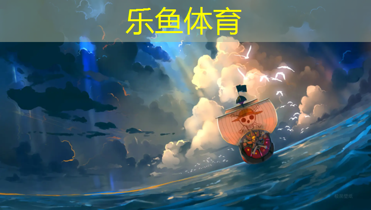 沈阳体育塑胶跑道面层